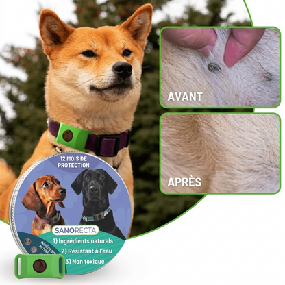 Aide à protéger votre chien contre les tiques, les phlébotomes et les puces | 12 mois de protection naturelle