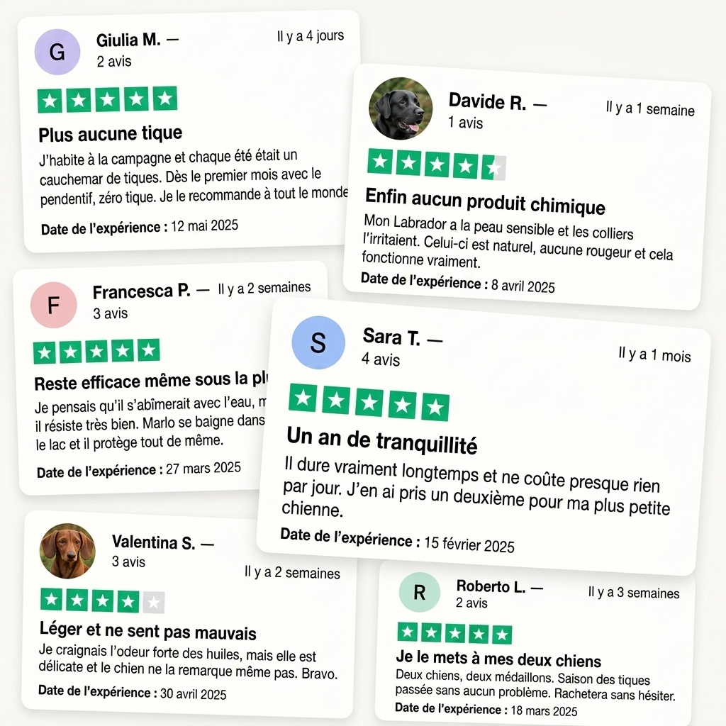 Aide à protéger votre chien contre les tiques, les phlébotomes et les puces | 12 mois de protection naturelle