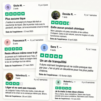 Aide à protéger votre chien contre les tiques, les phlébotomes et les puces | 12 mois de protection naturelle