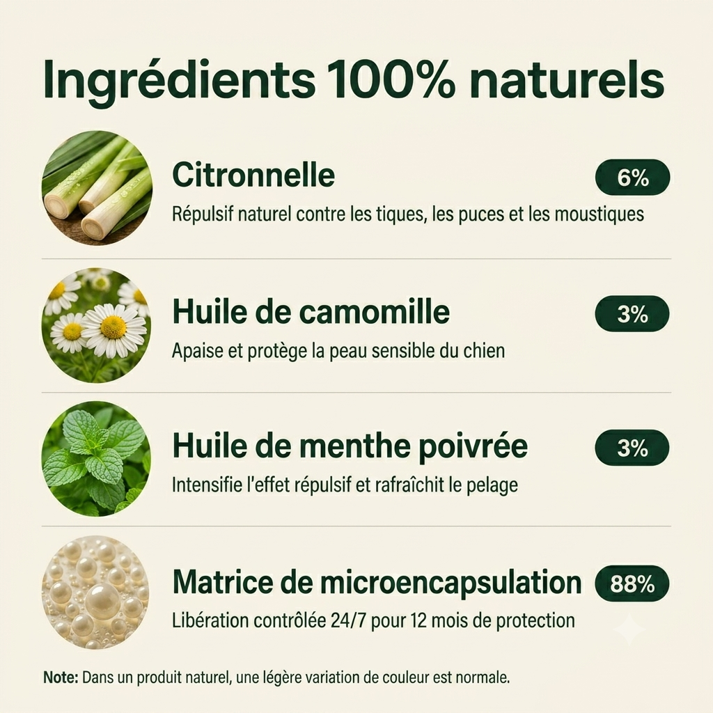 Aide à protéger votre chien contre les tiques, les phlébotomes et les puces | 12 mois de protection naturelle