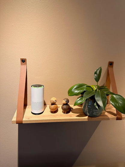 Purificateur d'air SanoRecta