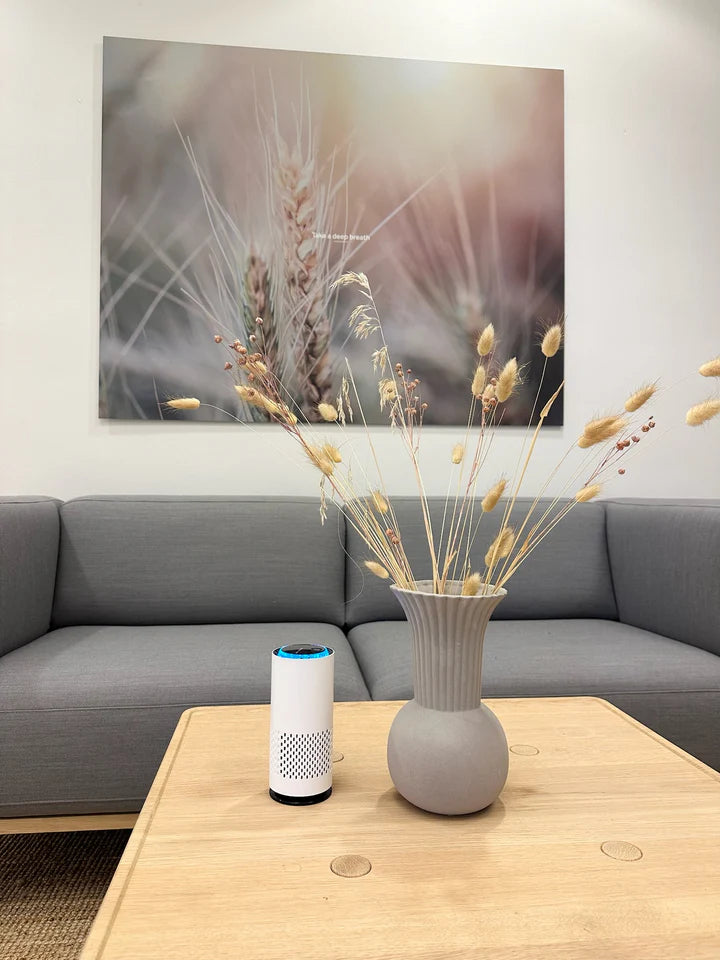 Purificateur d'air SanoRecta