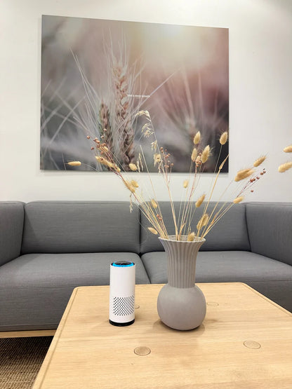 Purificateur d'air SanoRecta