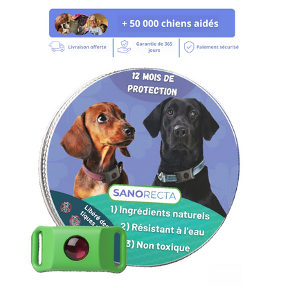 Aide à protéger votre chien contre les tiques, les phlébotomes et les puces | 12 mois de protection naturelle