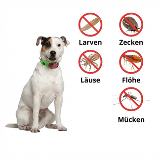 Aide à protéger votre chien contre les tiques, les phlébotomes et les puces | 12 mois de protection naturelle